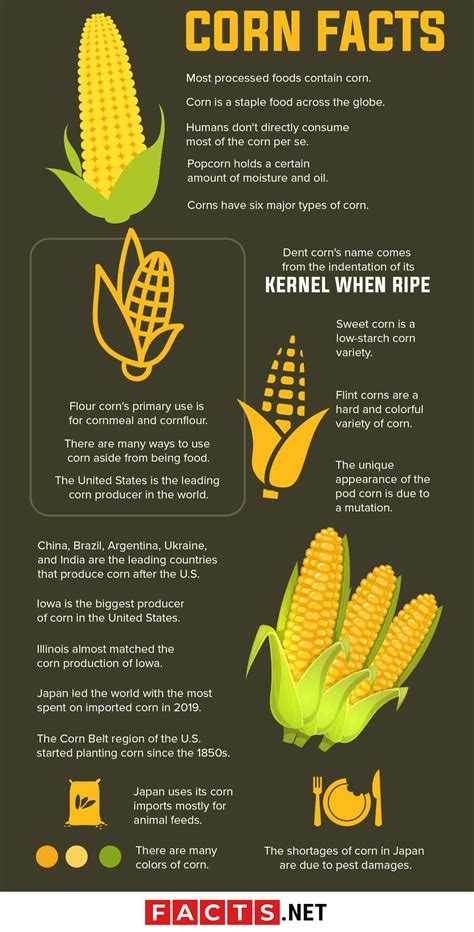 Is corn gluten good for your lawn
